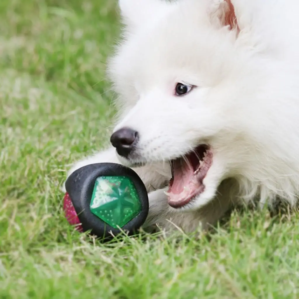 Interactieve Bal Speelgoed Kleurrijke Led Light Up Hond Kauwen Speeltje Elastische Bal Kleine Puppy Kitten Katten Honden Benodigdheden