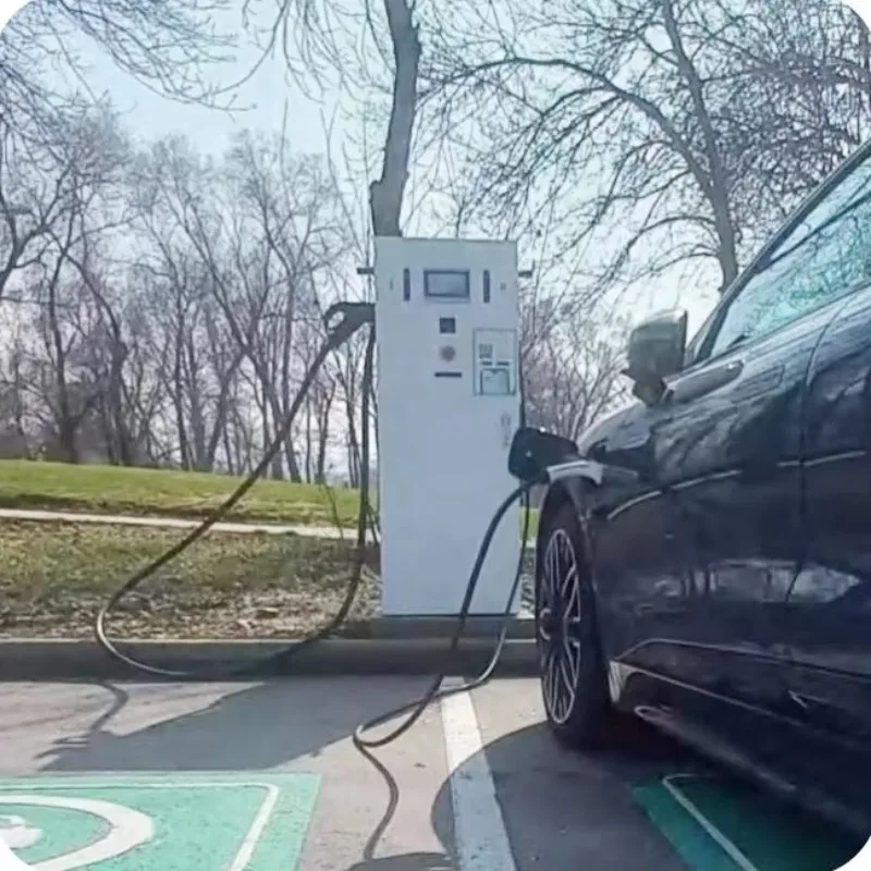 New Energy DC EV Charger Vehicle Charging Station Ocpp Fast DC Commercial EV Charger Level 3 Floor-mounted Charging Stations