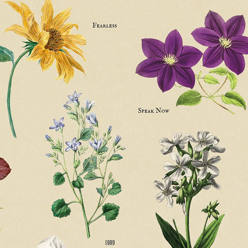 TS جولة Eras التذكارية جدار صور خمر تايلور أليسون المشارك موسيقى البوب الرسم على لوحات القماش الجدارية يطبع ديكور غرفة المنزل