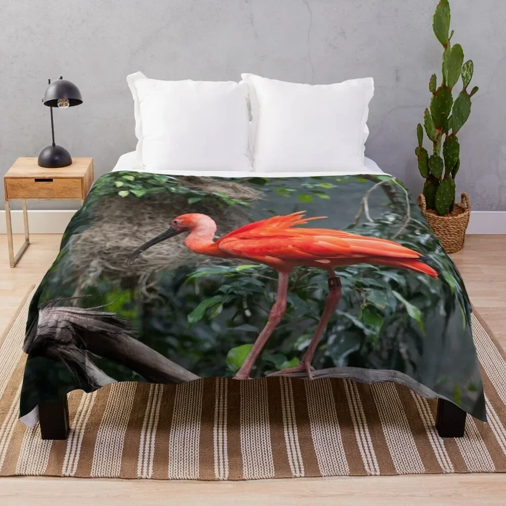 Scarlet Ibis perched on a vine Throw Blanket Large Flannels Blankets