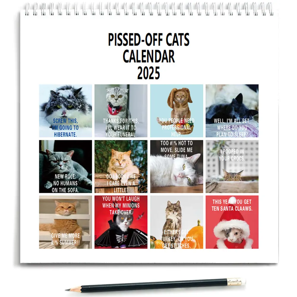 2025 Pissed Off Cats Calendar, Pissed Off Cats 2025 Wall Calendar, 12 Month Planner for Joke Present, Sassy Present for Cat love