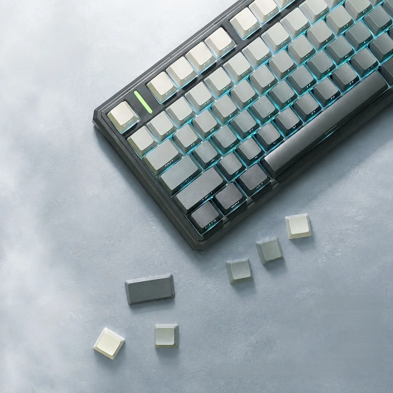 134 Keys PBT Double Shot Keycaps Polar Day Side-lit RGB Backlit Keycaps OEM Profile for Cherry MX Switches Mechanical Keyboards