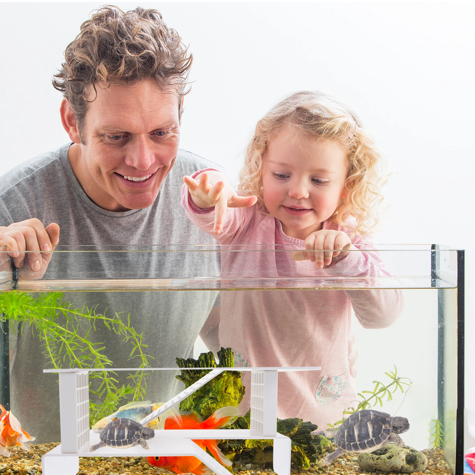 

Turtle Basking Platform Floating Dock Spacious Platform Terrapins ers Aquatic Pets Reptile Dock Plastic Sunbathing Spot