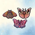 HP-Set-0157