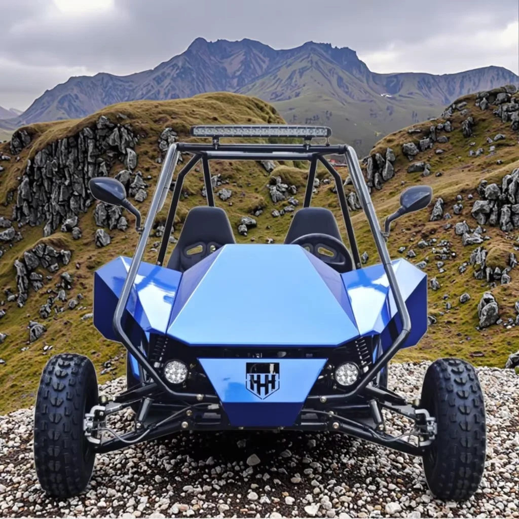 200CC Adult GAS-Powered Off Road Buggy Go Kart 200