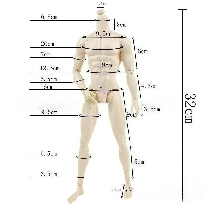 30cm Male Doll's Body for 1/6 FR Doll with White/ Normal/Tan Skin Doll  Toys Accessories