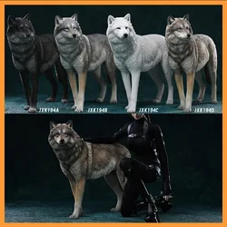 JXK JXK194 1/6 Scale White Wolf Arctic Wolf Simulation Wildlife Animal Resin Toys Model for 12 Inches Action Figure Body