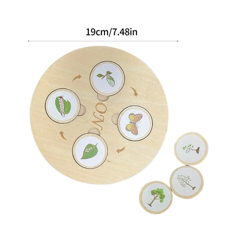 لعبة ألغاز دورة نمو الحياة البيولوجية، لوحة تعليمية لرياض الأطفال 15UB