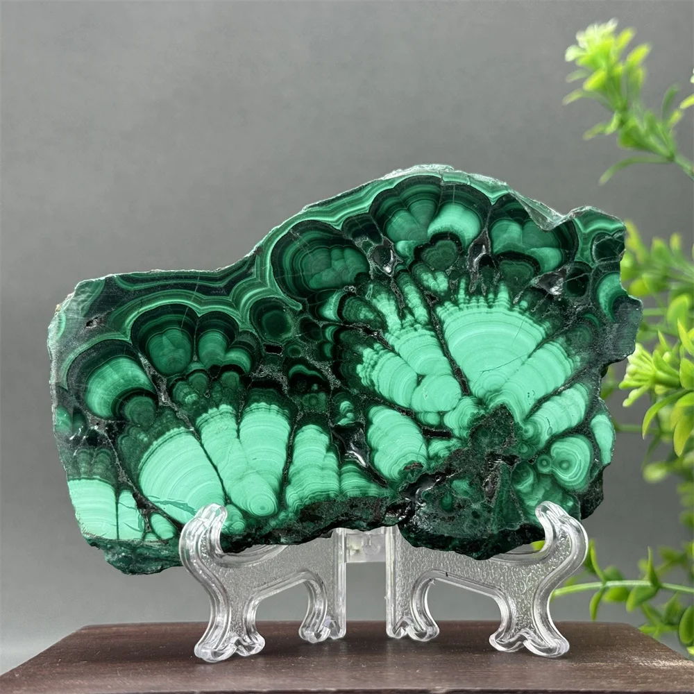 Natural High-Quality Malachite Rough Stone Slices Aura Therapy Meditation Witchcraft  Prayer Energy Home Decoration + Bracket