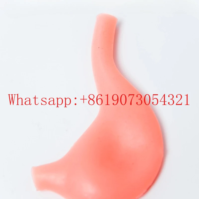 

Модель желудочно-кишечного анастомоза, модуль энрозистенского шва, учебный инструмент для моделирования лапароскопической хирургии