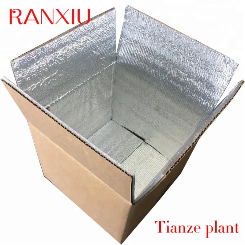 

Custom Insulated Foam Corrugated Aluminum Foil Transport Box Cold Shipping Packaging Thermal insulated Box