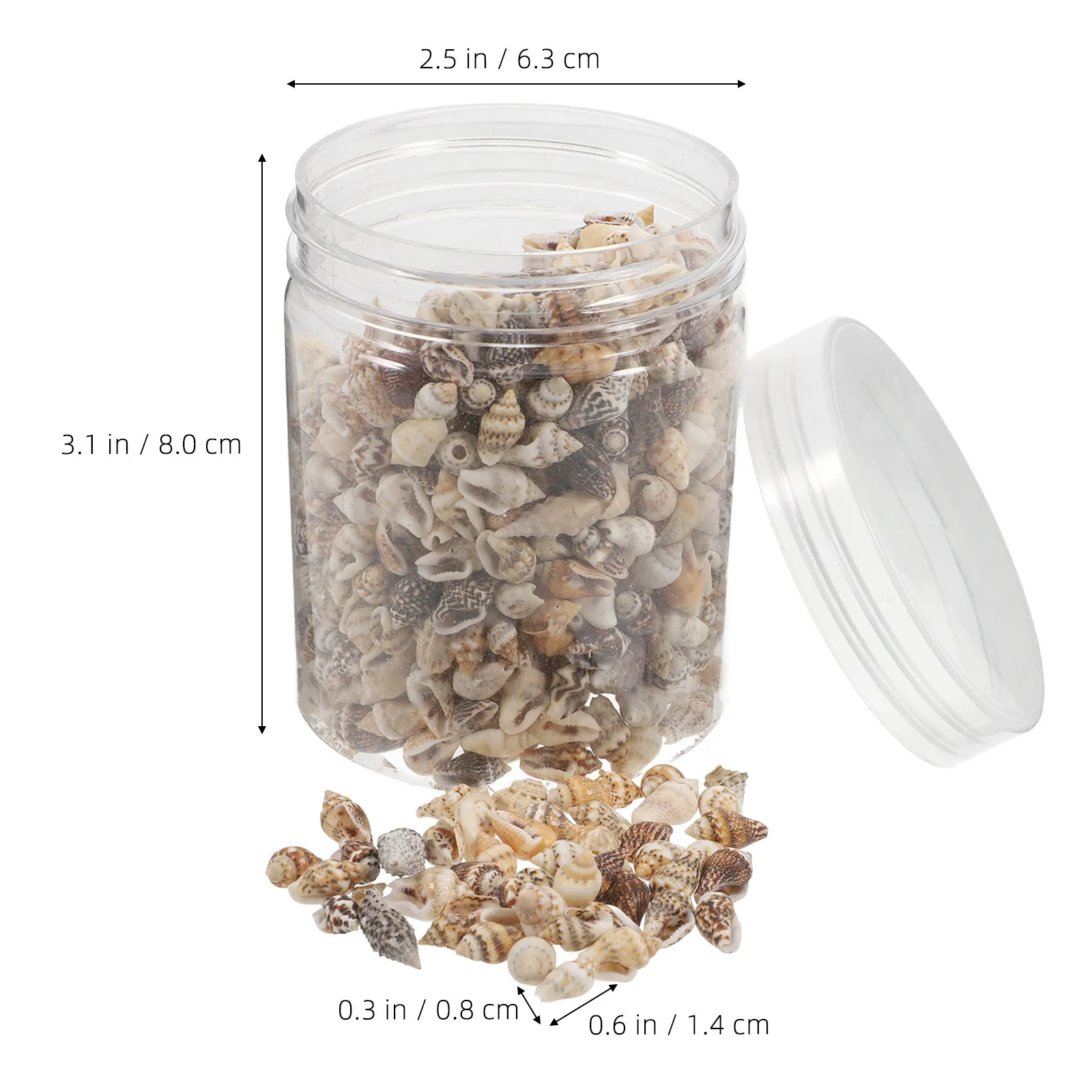 Decorative Shells Mini Sea Beach Decorations for Party Favors Wedding Natural Vase Filler