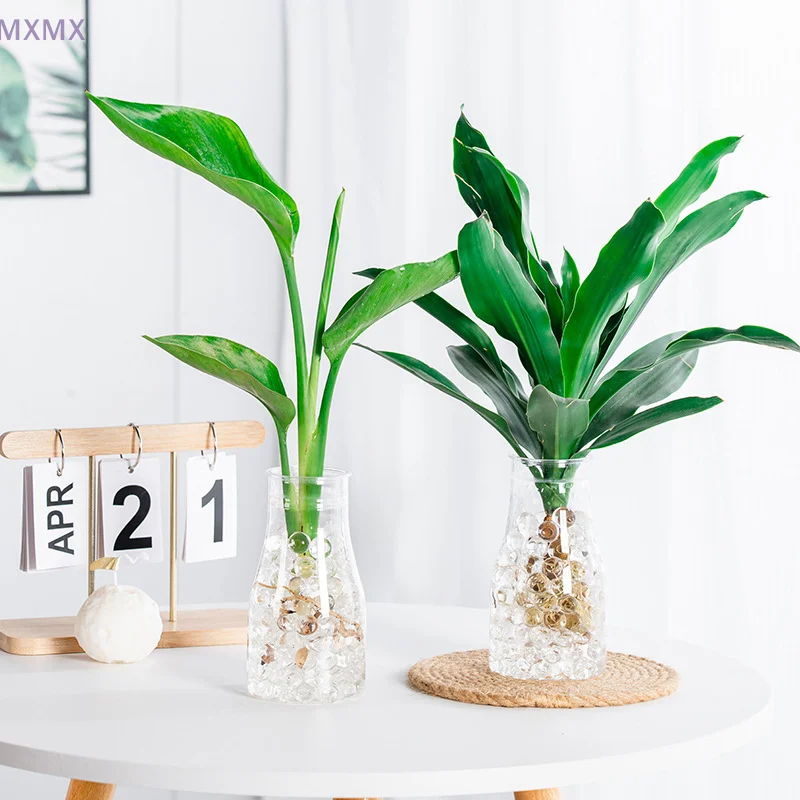 Mini Hydroponic Flower Pot Home Vase Decoration Transparent Imitation Glass Soilless Pot Home Decoration