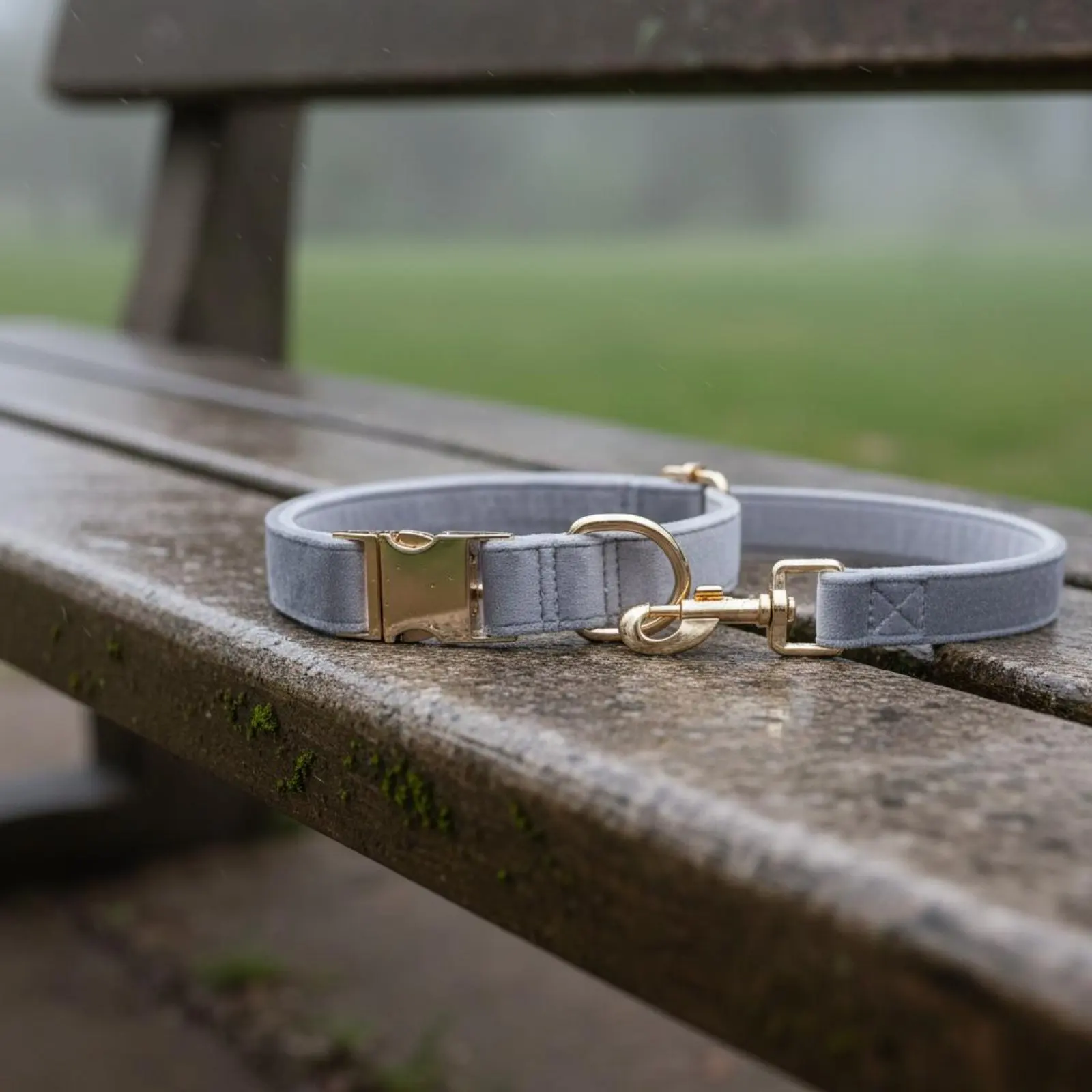 

Engraved Metal Buckle Collar Soft Feel Velvet Pet Collar Pet Accessory Long-Lasting Engraveable for Training