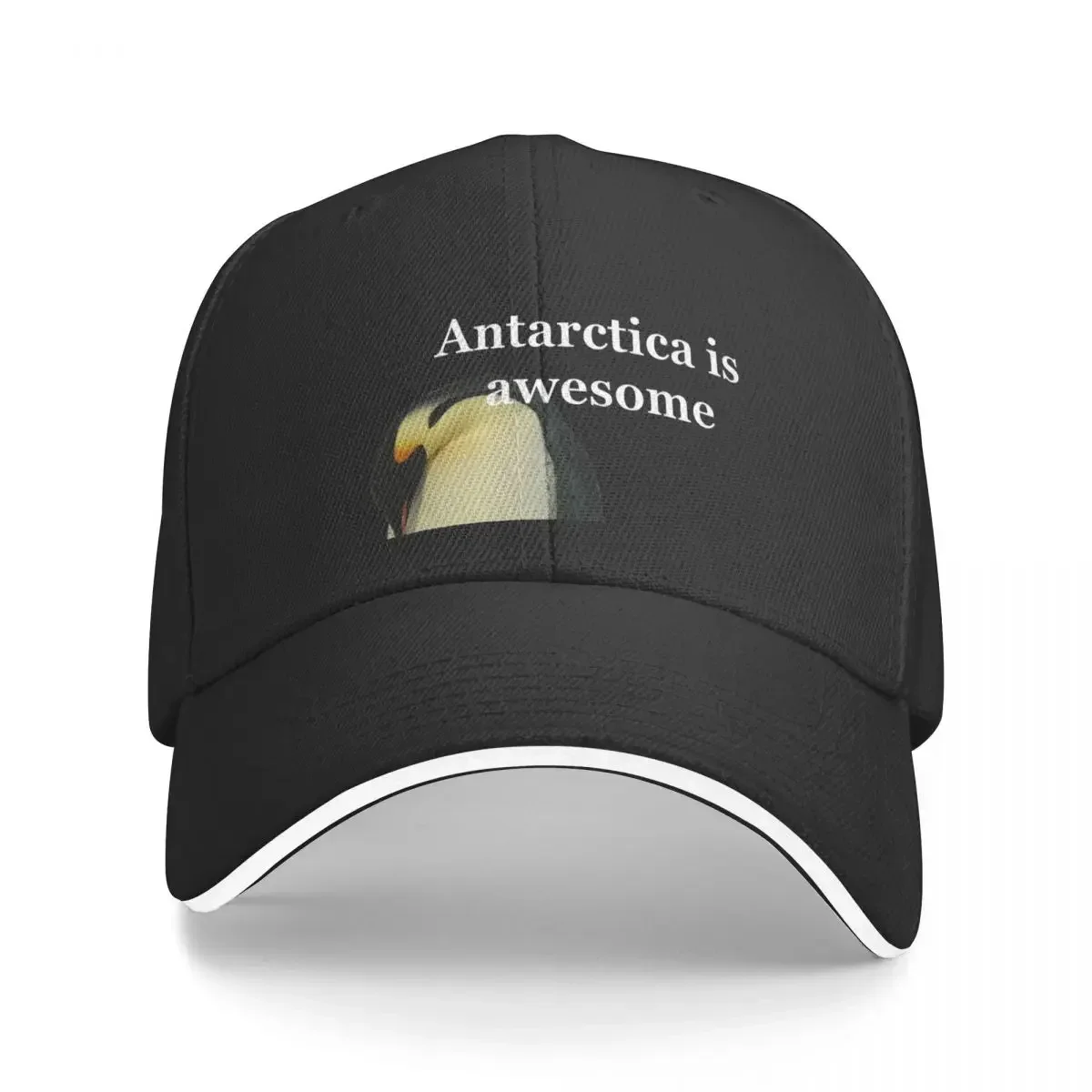 Parent penguin cuddles with a cute baby in Antarctica Baseball Cap Thermal Visor Golf Wear Anime cute Men's Women's