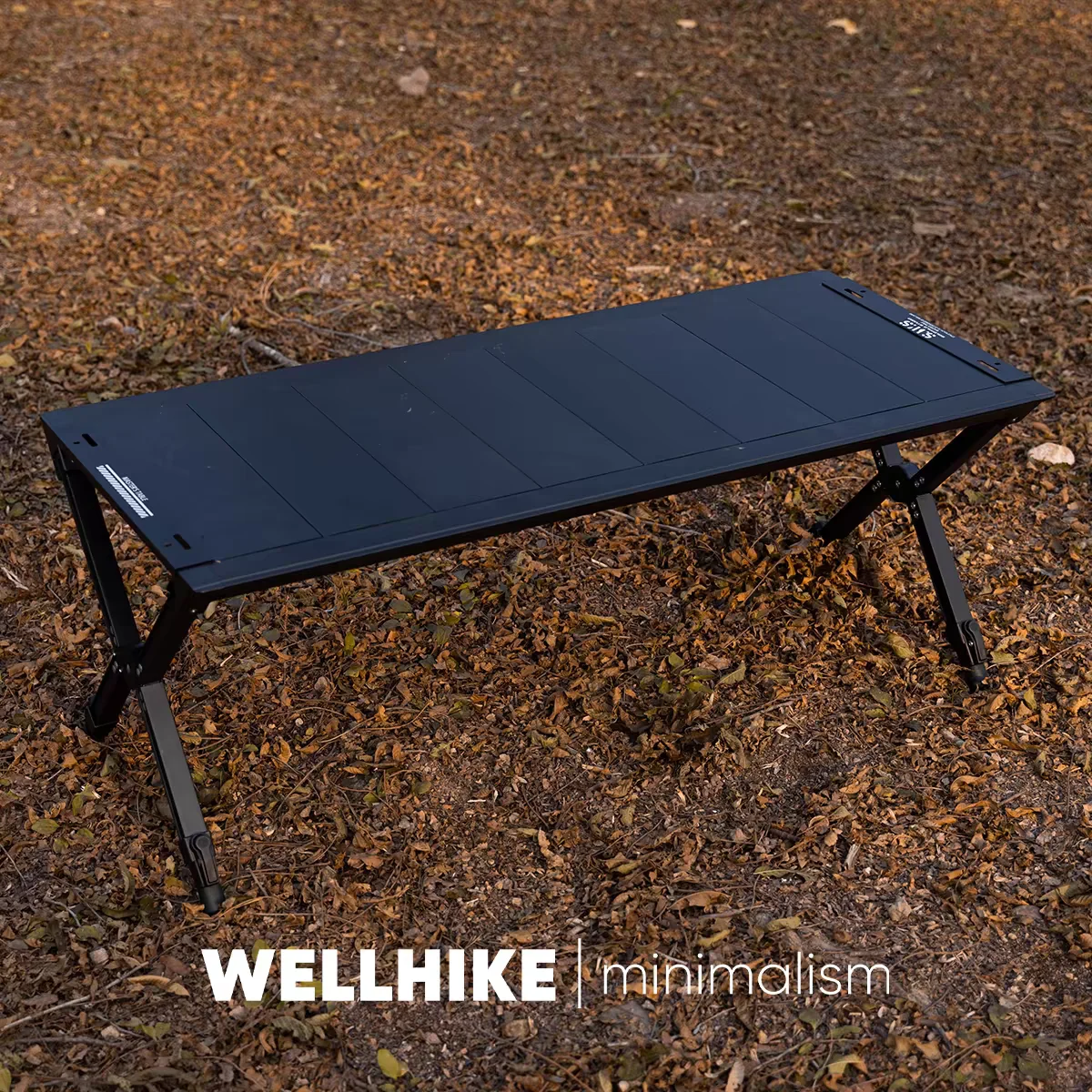 

WELLHIKE New IGT Combination Table Portable Multifunctional Outdoor Camping Storage Table Foldable Two Units for Picnic