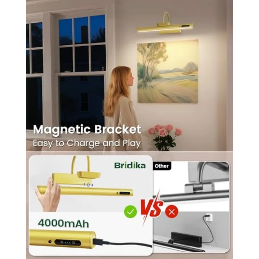 Picture Light Battery Operated, Picture Lights for Wall, 3 Colors and Brightness Dimmable, Rechargeable Art Light for Paintings