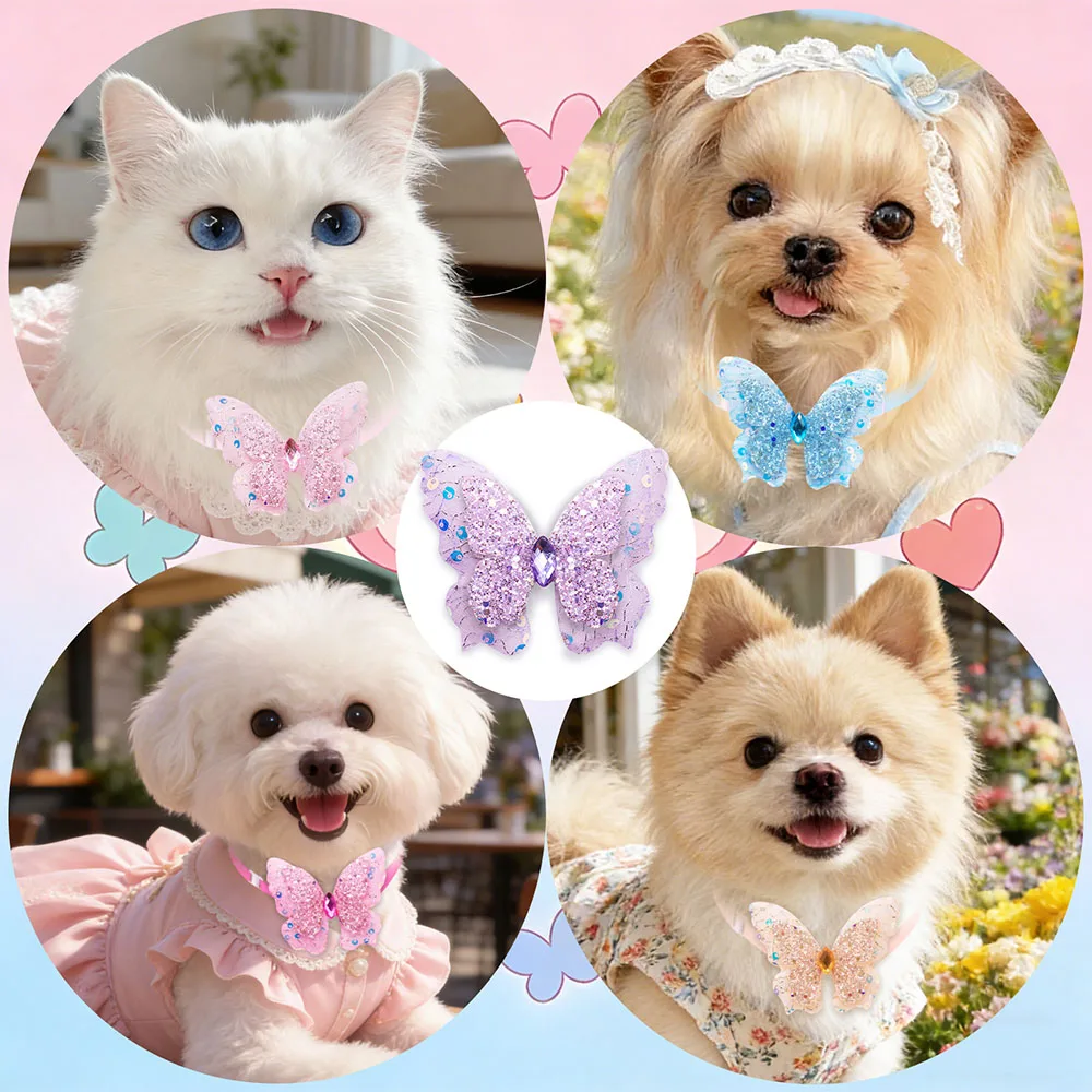 Thumbnail 2 - #26 Best Adjustable Pet Collars to Buy In 2026