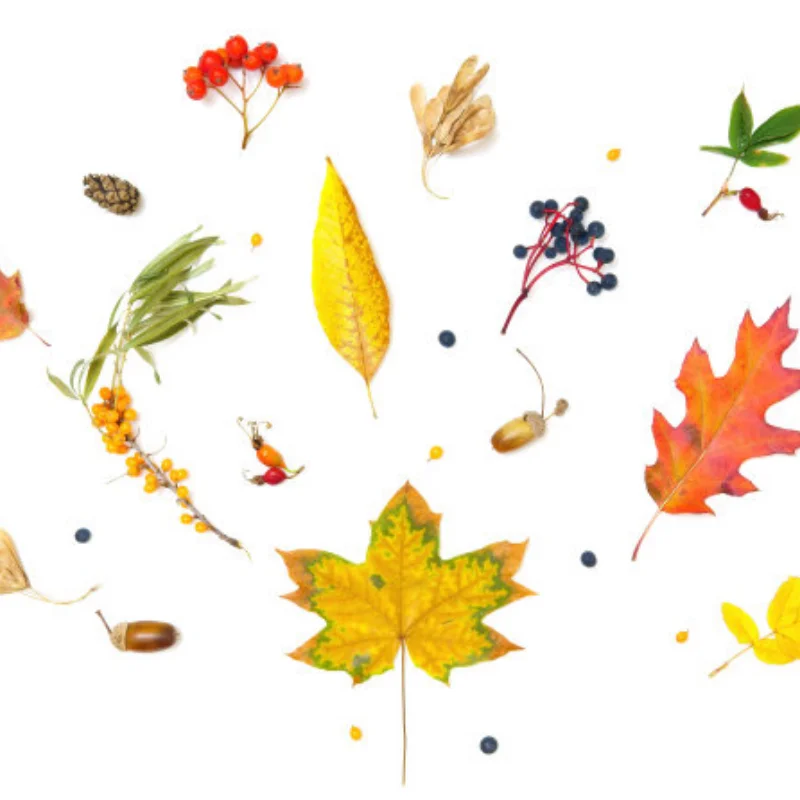 

Металлическая рама для радиоуправляемой машины, совместимая с WLtoys 244016 LOSI Micro-B 1/24