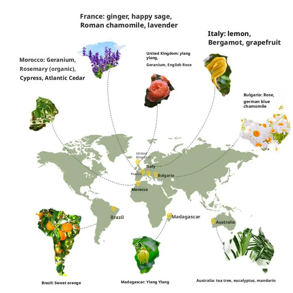 10ml Auto Parfum Refill Vloeibare Smaak Essentiële Olie met Druppelaar Auto Luchtverfrisser Refill Voor Air Auto geur