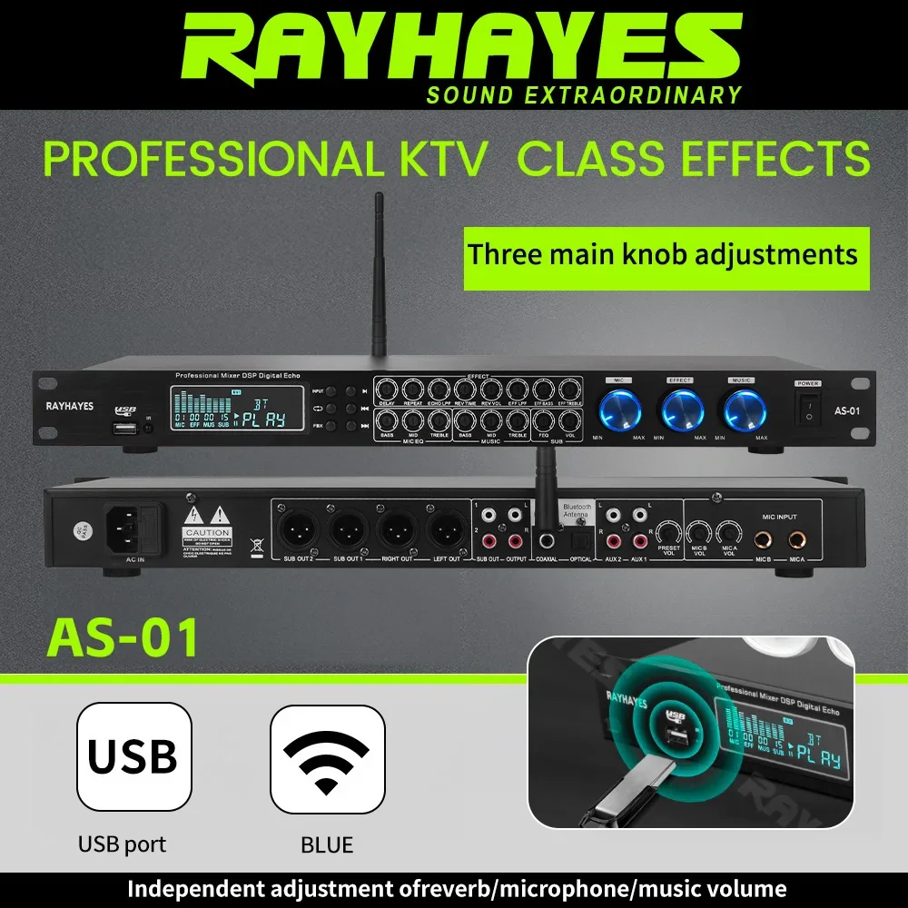 

RAYHAYES AS-01 Professional Effects Processor Digital Amplifier Professional Equalizer FBX One-Click Feedback