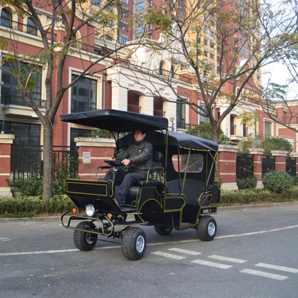 Amusment park facility, sightseeing use electric car