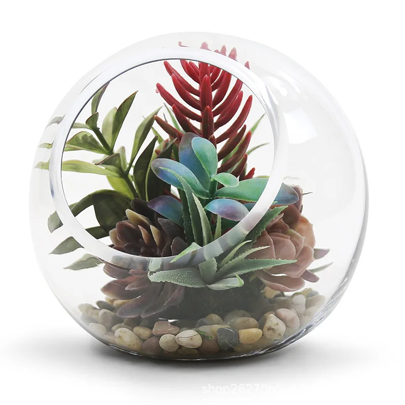 Modern Thick Transparent  Slanted Mouth Spherical Glass Vase, Water Nourishing Green Plants, Creative Micro Landscape Design