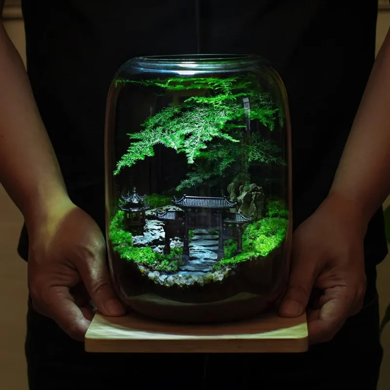 

Премиальный набор для террариума из растительного волокна с дизайном пола в стиле кантри для дома или сада в стиле фермерского дома