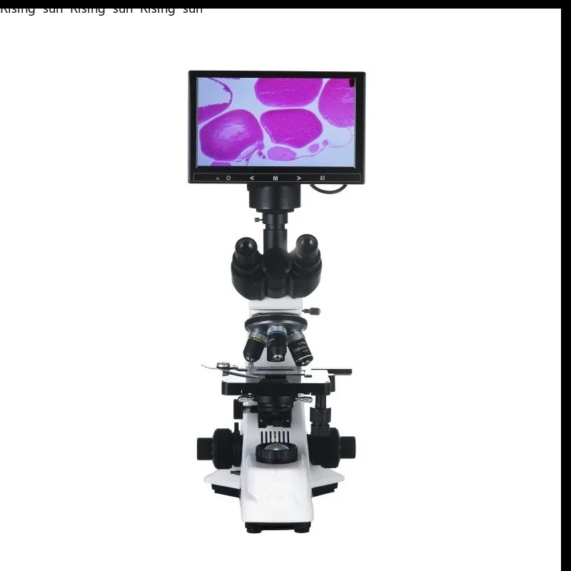 EURVET Good Sale Optical Vet Biological Microscope Professional Veterinary Equipment Clinical Lab Lcd Display Digital Microscope