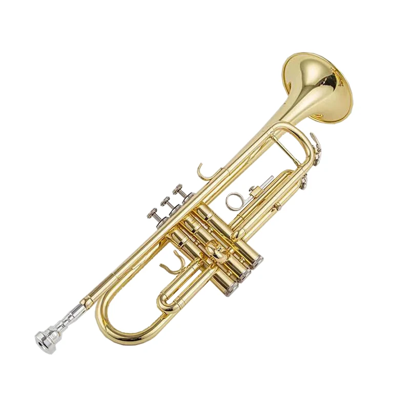 ياماها YTR-200DR B أداة البوق المسطح للطلاب والكبار والأطفال والمبتدئين امتحان اللعب والتدرج، نسخة نحاسية #3