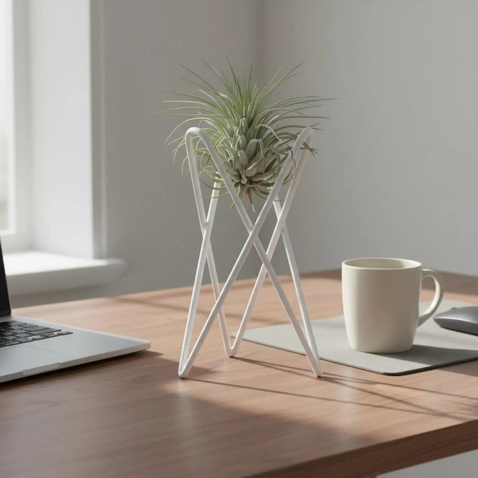 Air Plant Display Hanger Metal Wire Bracket for Office Desktop Bookshelf Narrow Sill