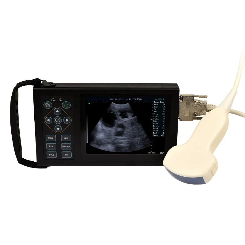 Veterinary ultrasound machine: ultrasound pregnancy device for sows