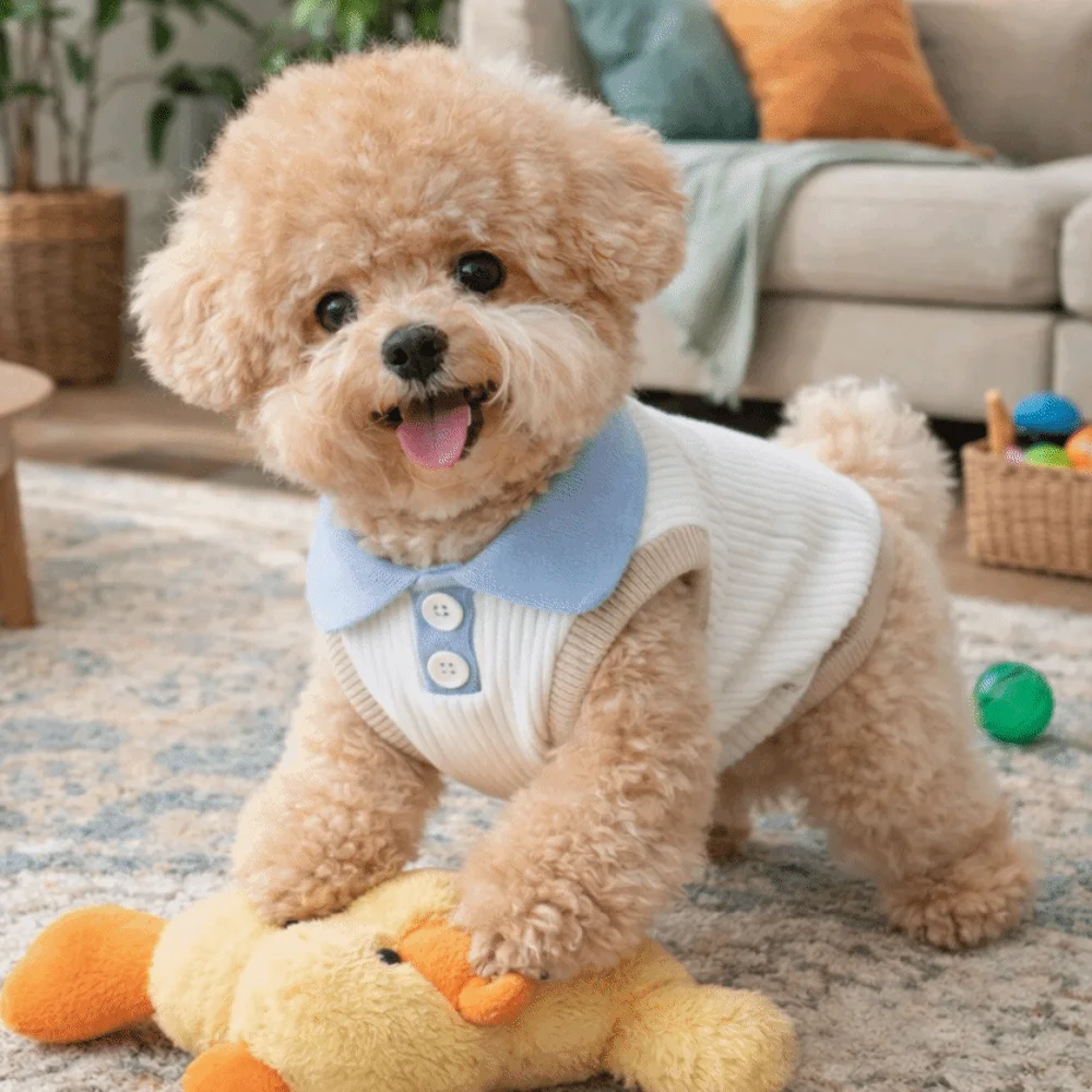 

Pet Shirts Apparel Thin Dog Shirt Soft Comfortable Puppy T-shirt Breathable Casual Su Dog Clothes Daily Use