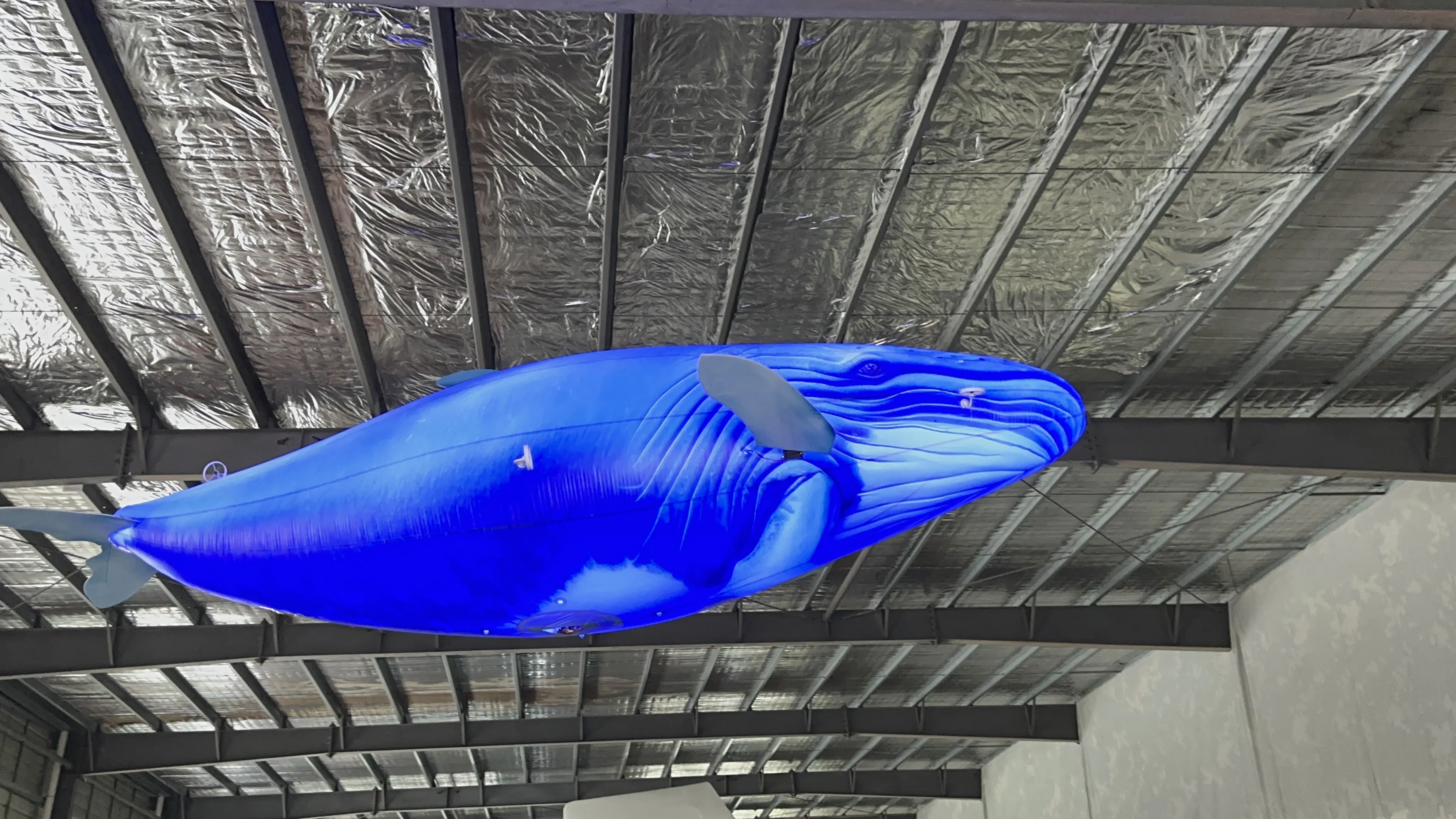 Popular Flying Remote Control Helium Flying Whale Inflatable Flying Dolphin Balloon Helium Dron