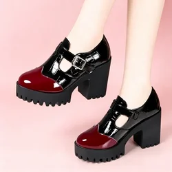 10cm Small Size 32-42 Vintage Thick Bottom Mix Color Mary Janes Platform Shoes 2025 Spring Block High Heels Shoes Office Model