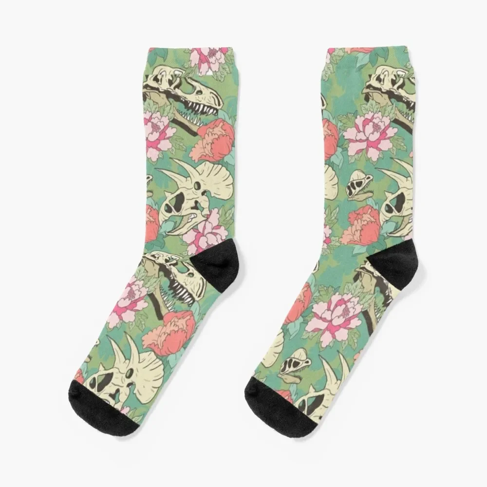 

dinosaur florals Socks colored new year Stockings compression Socks Girl Men's