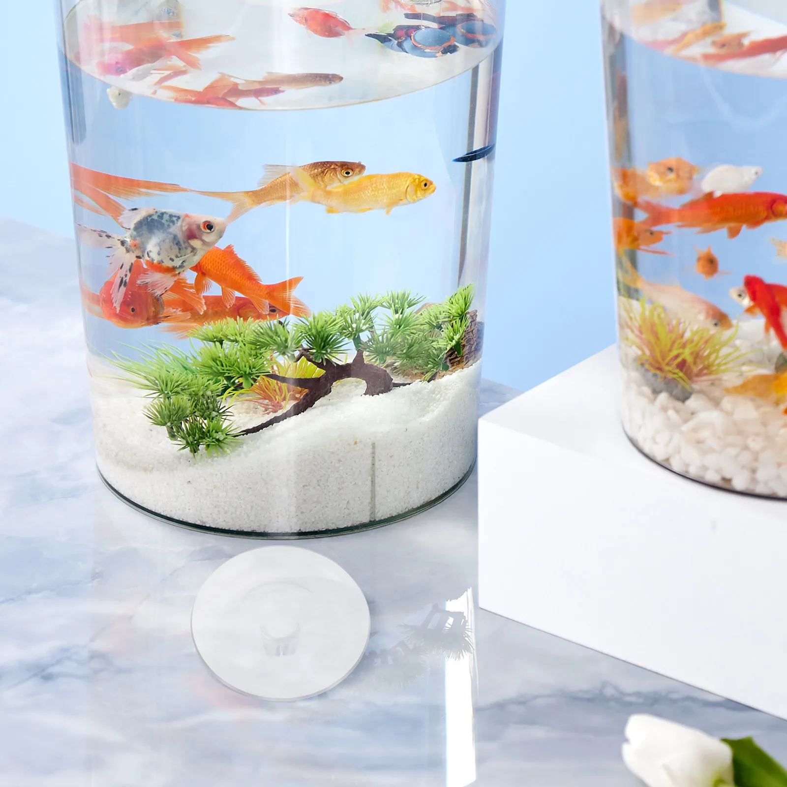 

40Pcs Hydroponic Floating Flower Arrangement Holder Clear Plastic 50Mm Fixation Insert for Water Garden Pond Floral Display