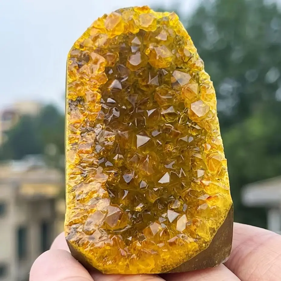 Rare Natural Citrine Clusters Crystal Geode Yellow Crystal Cluster with Natural Inclusions  Electroplated Mineral Reiki Healing
