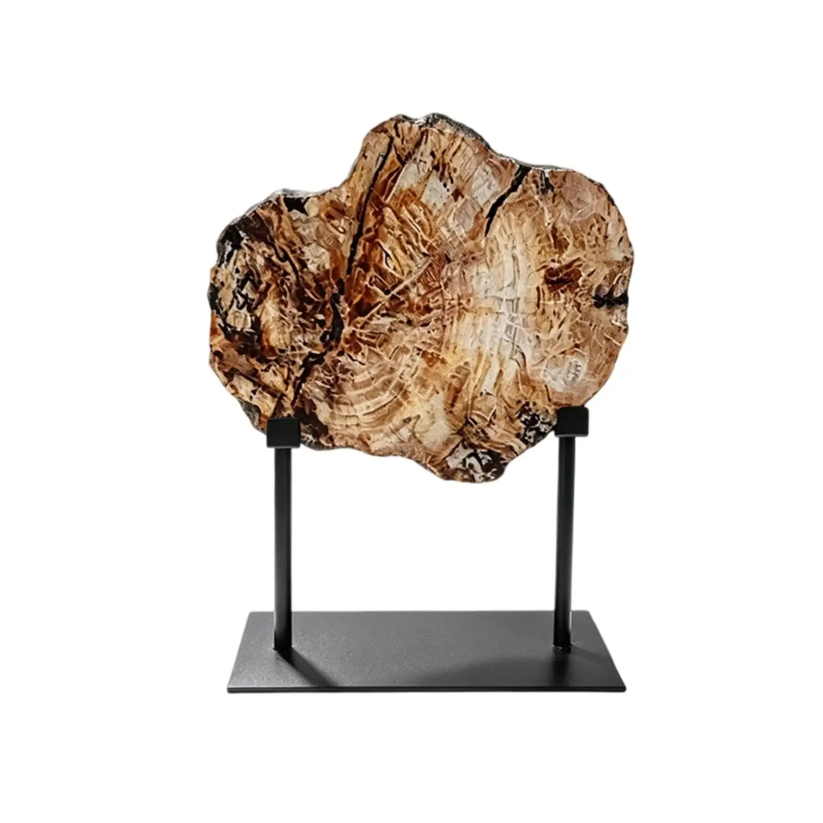 Simulated Fossil Display Textured Faux Wood Slab on Stand Vintage Style Decor for Minimalist Room and Wooden Shelves