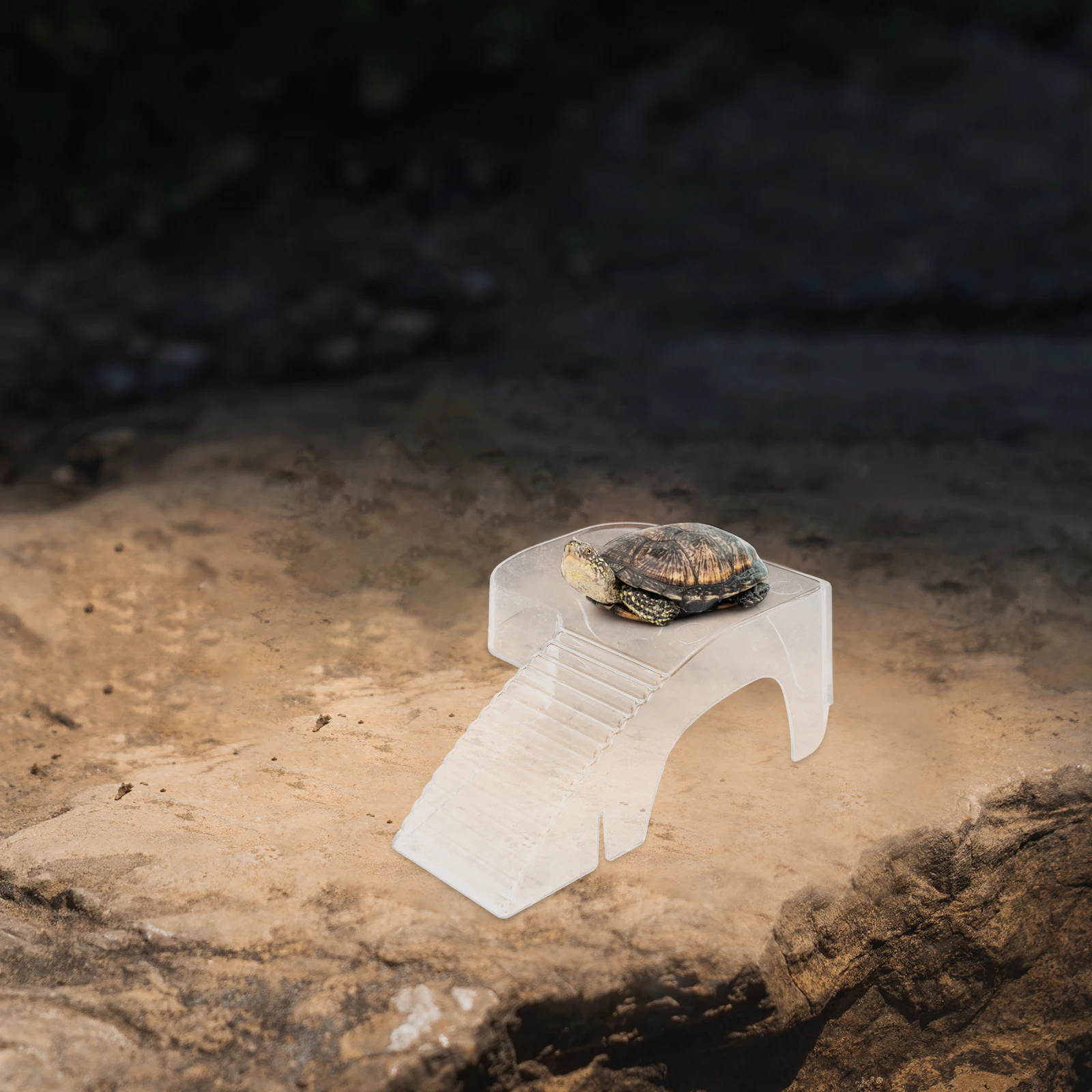 

2Pcs Turtle Resting Platform ABS Plastic Fish Tank Basking Platform Stable Durable Not Easy to Deform Turtle Basking