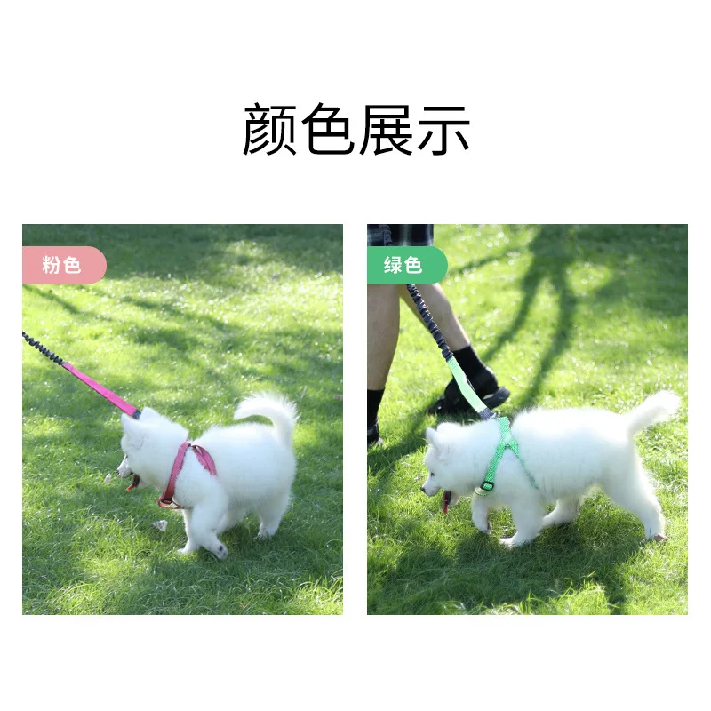 Running leash Portable luminous reflective pet leash Buffer elastic anti-explosion belt Walking dog leash set