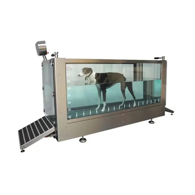 Underwater Treadmill for Dogs - Effective Hydrotherapy Solution
