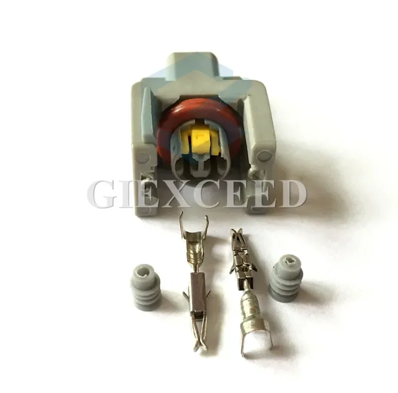 2 Sets 2 Pin AC Assembly Automotive Fuel Injector Plug Spray Nozzle / Oil Atomizer Connector Car Electrical Plug Female Socket