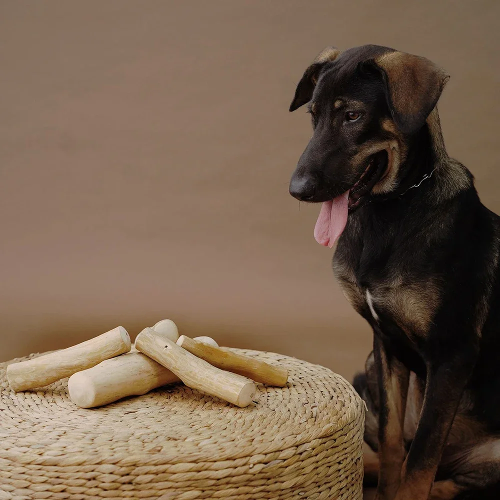 

Natural Coffee Wood Dog Chew Toys Long Lasting Chewable Stick Dogs Supplies Stress Relief Chew Stick Pet Molar Toy for Dog Puppy