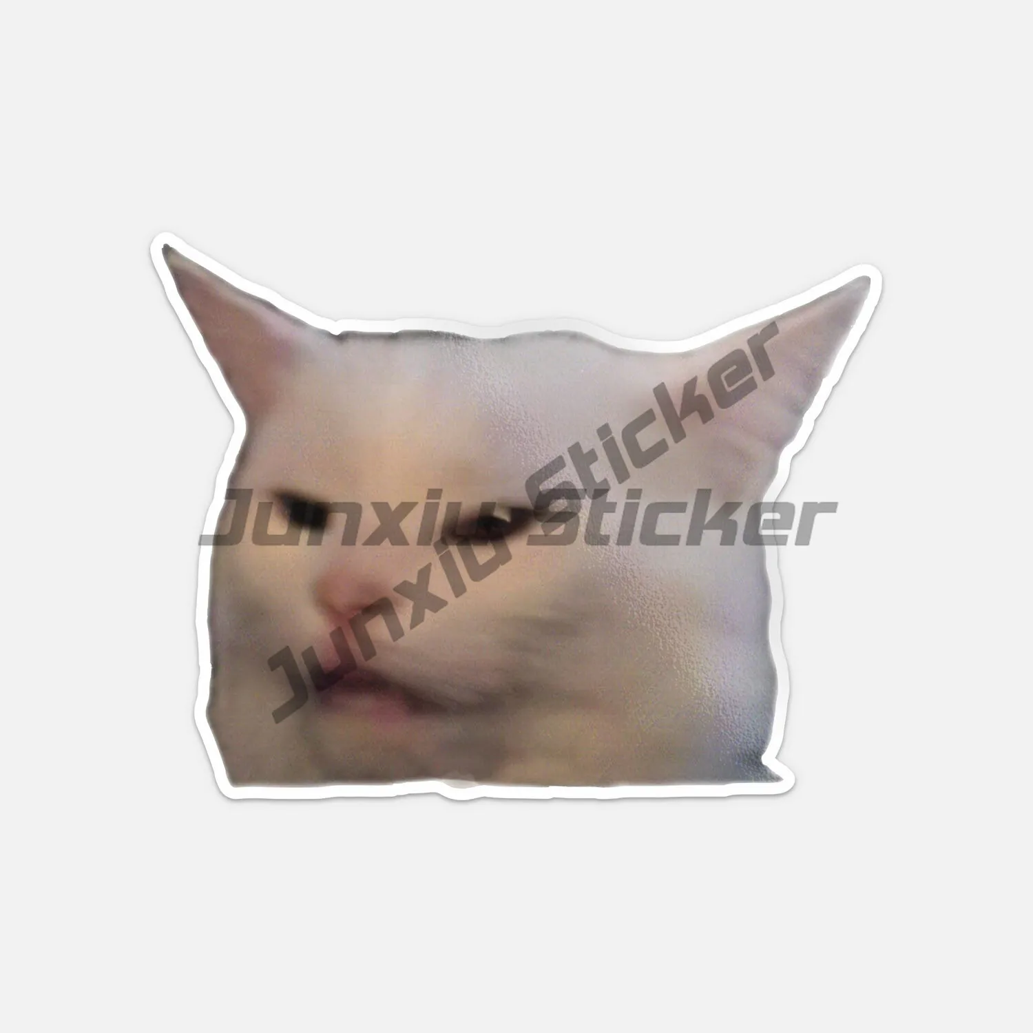 

Smudge The Cat Meme Vinyl Sticker Decal