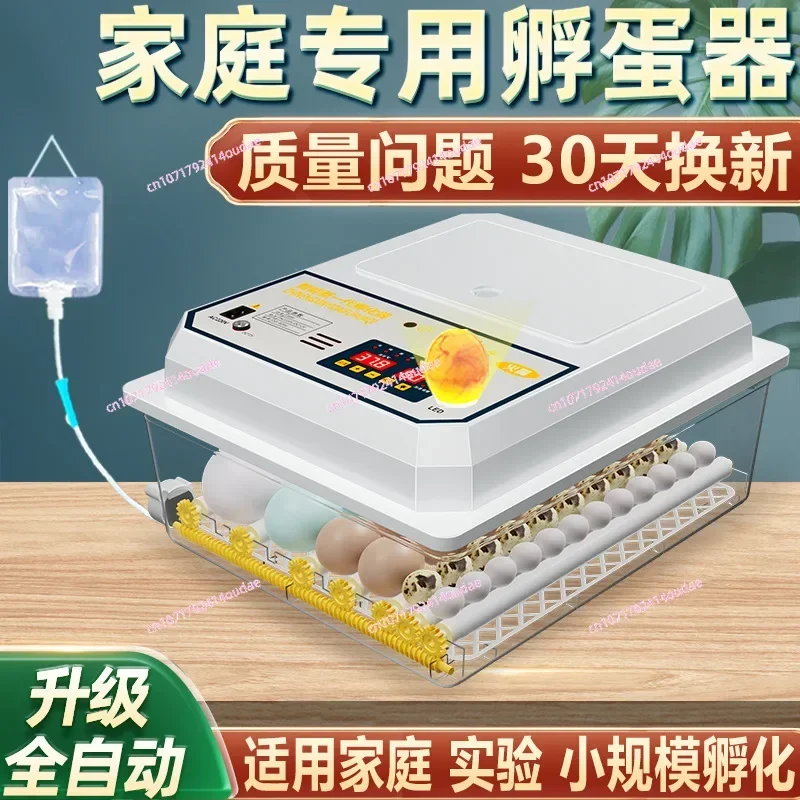 110V-240V can be used English incubator Automatic home incubator Chicken, duck and goose incubator