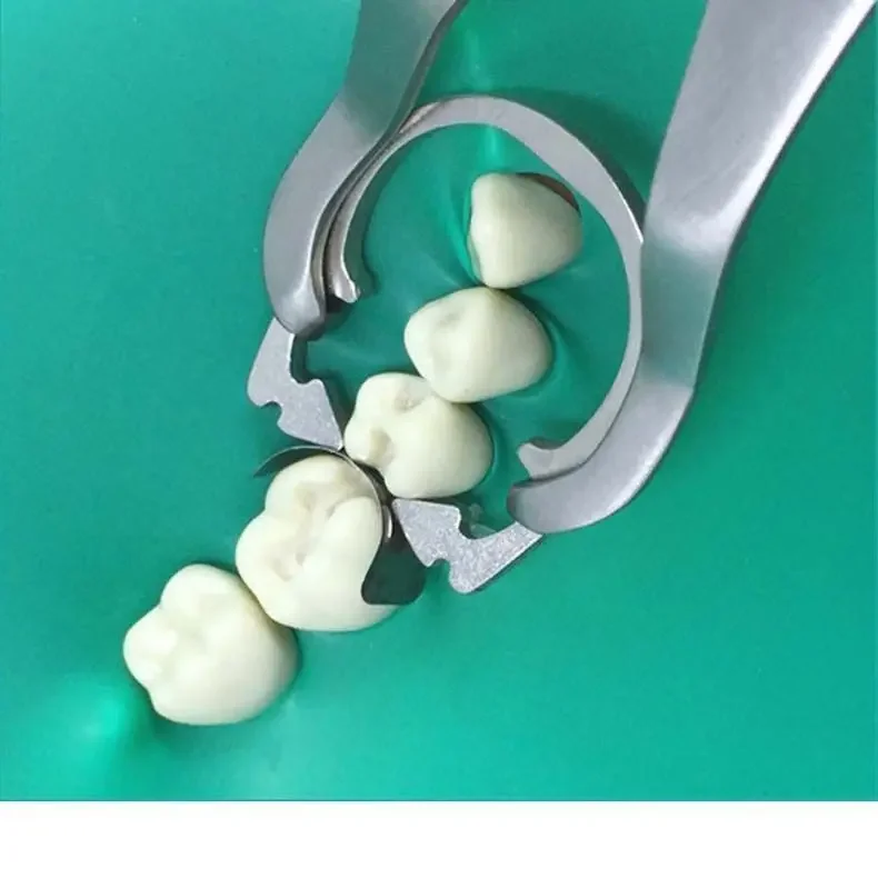 Dentals Material Resin Clamp Ring Placement Forceps Douban Shaping Sheet Clip Placement Forceps