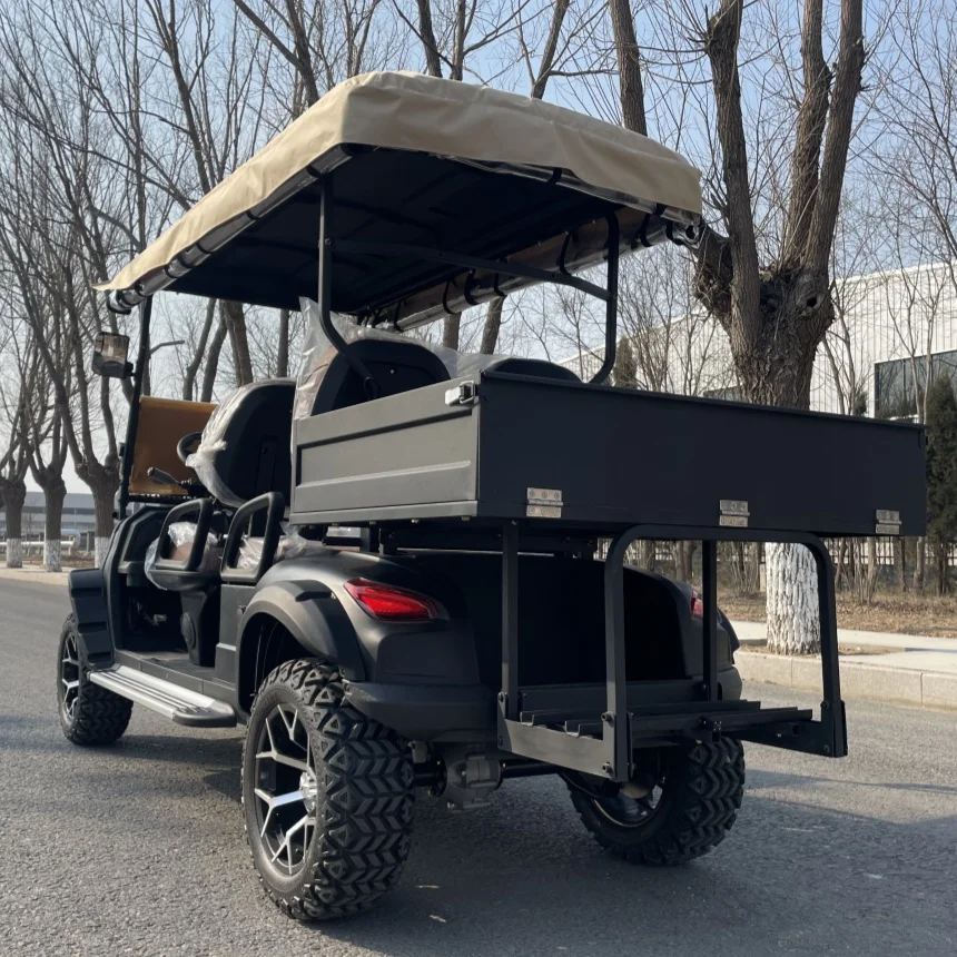 

Hot Sale Electric Golf Cart Lead-Acid Battery Lithium Battery Optional Powered For Golf Course And Resort Golf Cart