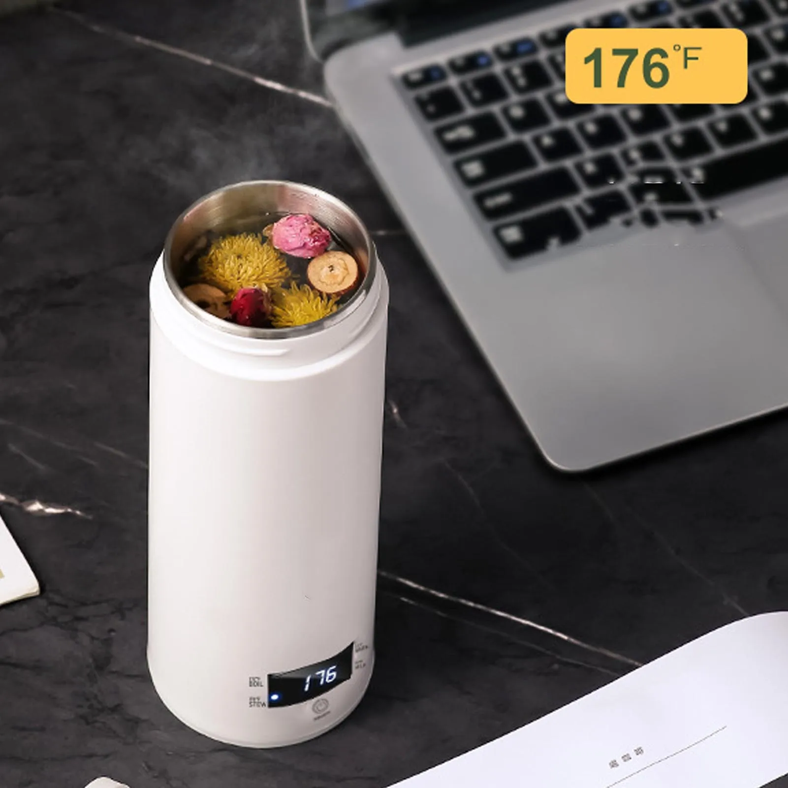 Tragbarer Mini-Wasserkocher, 450 ml, mit Temperaturregelung, 316, Edelstahl, Reise-Warmwasserboiler für das Brauen unterwegs