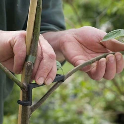 Ajustável Fruit Tree Limb Espalhadores, Ramo de Planta Benders, Forte Espalhando Virilha Ângulos Branche, 50Pcs